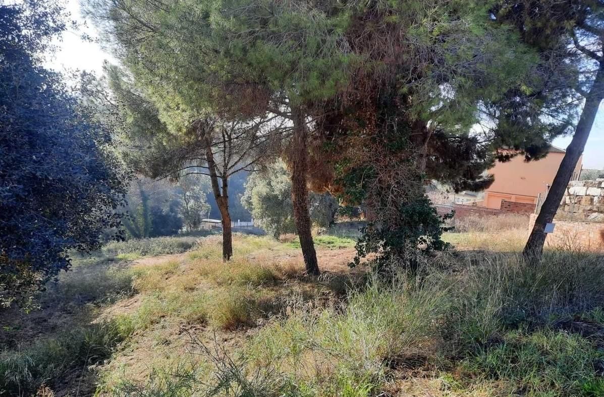foto_01