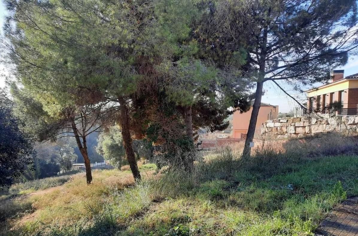 foto_04